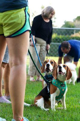 Can you tell they are just focused on the treat?