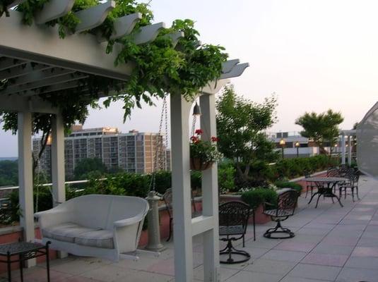 Rooftop Swings