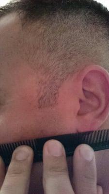 The other sideburn short and thick.  I have one of each