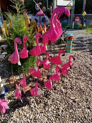 Flocks of Flamingos