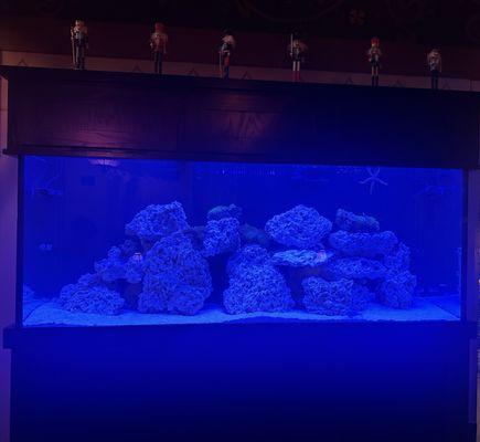 Fish tank