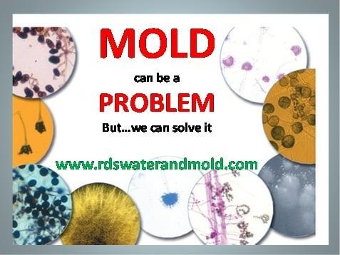 Mold can be a problem