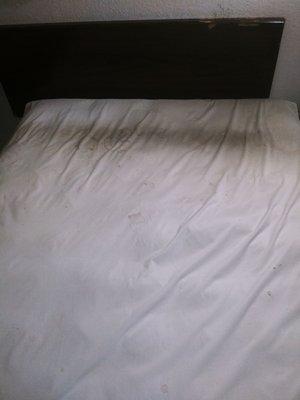 Disgusting dirty bed