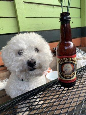 Happy pup to join us at the table.