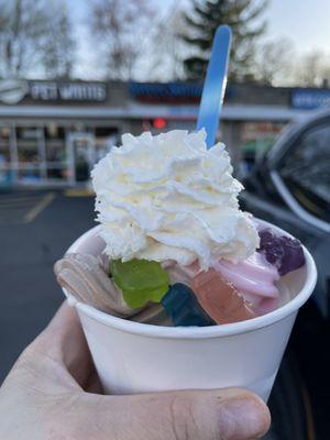 Sweet Savannah's Frozen Yogurt & Toppings