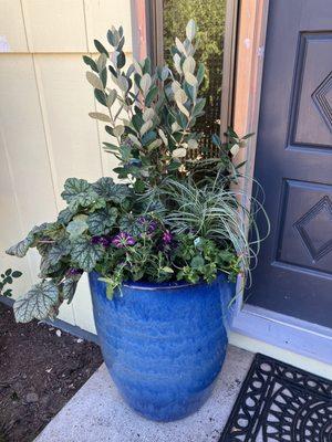 My Finished Potted Plants