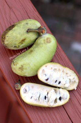 Pawpaws ($18.99/lb) - very good but extremely overpriced