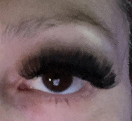 Gina ur awesome mega lash