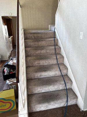 The stairs before carpet cleaning