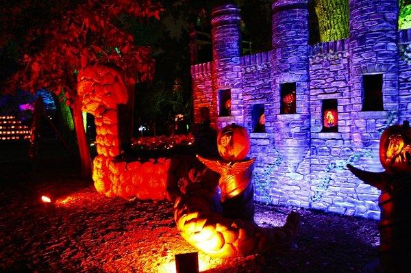 The pumpkin displays were brilliantly aglow and included a pumpkin graveyard (my favorite), a sea-scape, dinosaurs, dragons and more.