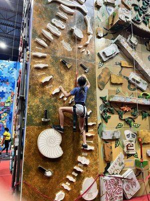 Dinosaur themed climbing wall