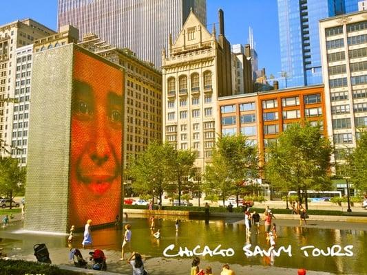 Chicago Savvy Tours