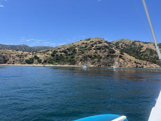 Kamryn Dawson charters fishing at Catalina Island