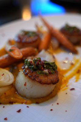 Scallops