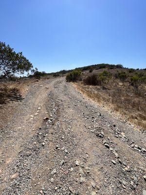 Corte Playa Catalina Trail