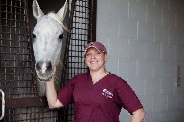 Waller Equine Hospital