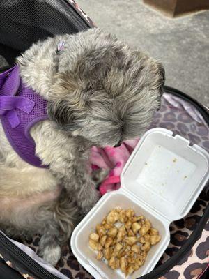 Harper and her Chicken