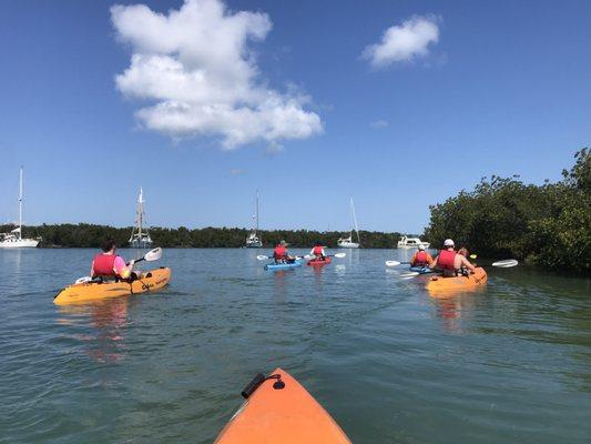 This area was on the way to the mangroves that a bunch of locals anchor their boats.