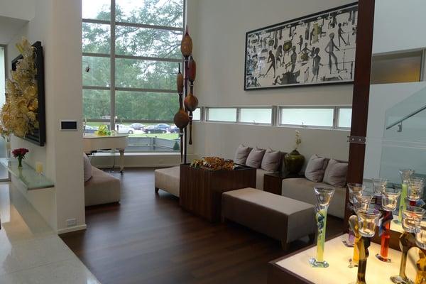 Living room in contemporary Lincoln Park home