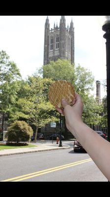 Pumpkin cookie in Princeton