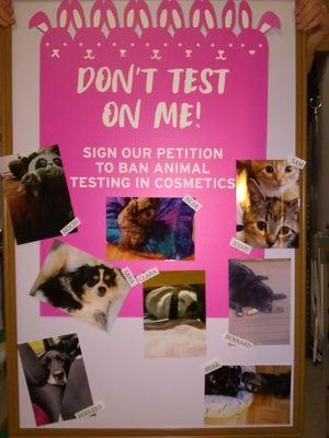 The never have tested on animals