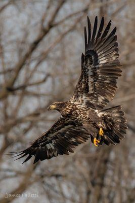 Overpeck County Park