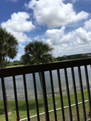 View from the balcony Palm trees grass and the lake