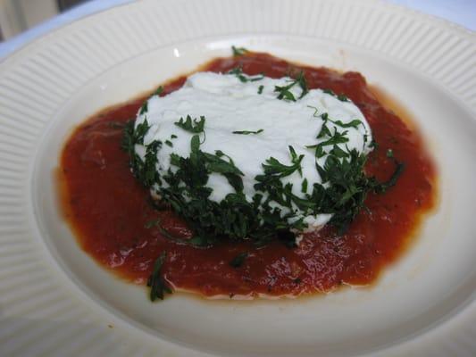 Goat cheese round in homemade tomato sauce