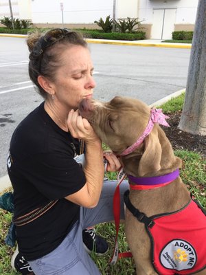 Adoption event with Peggy Adams making this sweet girl give me a kiss before she gets her treat.