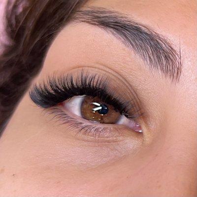 Volume lashes