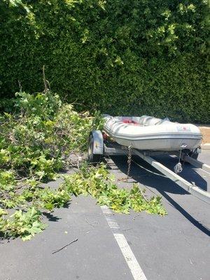 This is a photo of my boat that Apelinc used to pile the branches on.