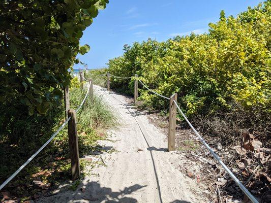 Walkway at South Inlet Park