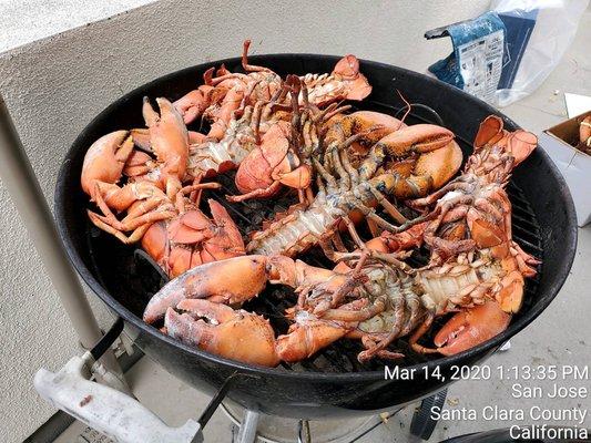 Lobster Lunch after Agents Training.