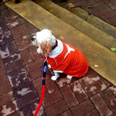 Thank you Dr. Martin for putting up with my great Texas shirts!