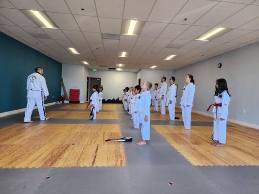 Roseville Academy - Family Taekwondo