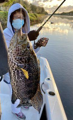 Capt Wayne put my mom on a Jaguar Cichlid. This was a rare catch