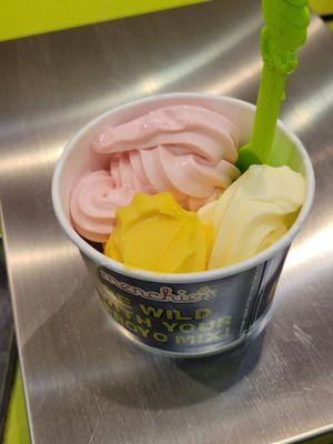 Menchie's Frozen Yogurt