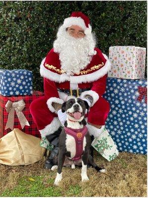 Santa Paws in December at PETA dogpark