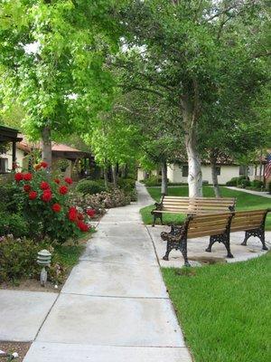 Beautiful courtyard gardens