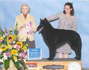 Jennifer, helping at a dog show, 1967 (colorized)