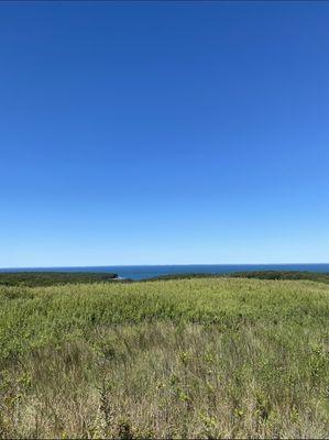 Best view in the Hamptons!