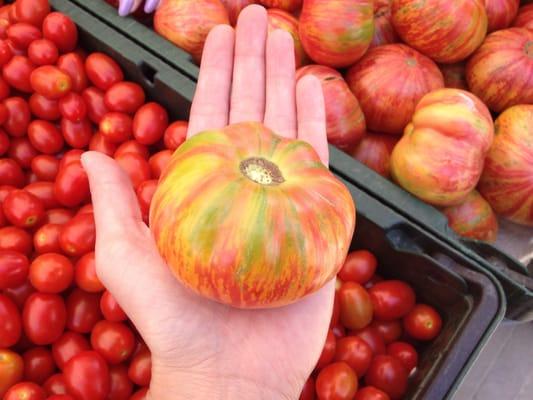 Heirloom tomato (July)