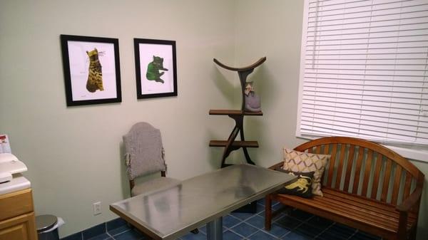 Quiet and Well quipped Cat Exam Room. Let your kitty explore and play !