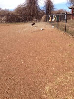 We have the park to ourselves this morning