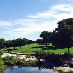 Course Conditions

419 Bermuda on Tees and Fairways 
Emerald Bermuda Greens (PGA National, Bay Hill Golf Club, TPC Sawgrass)