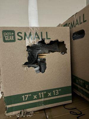 Mouse chewed my boxes