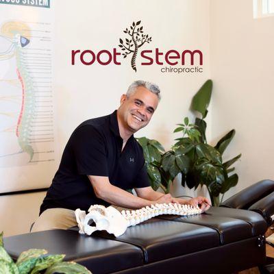 Root and Stem Chiropractic