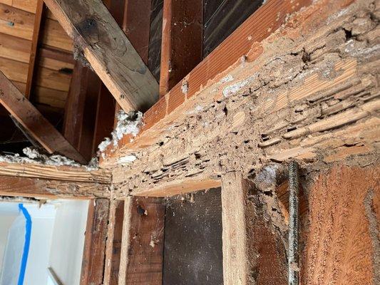 Subterranean termite evidence found at a home in Placentia.