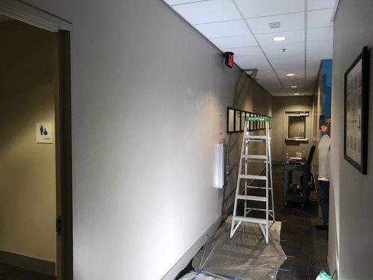 Nation Wide insurance Sacramento repaint of hallway