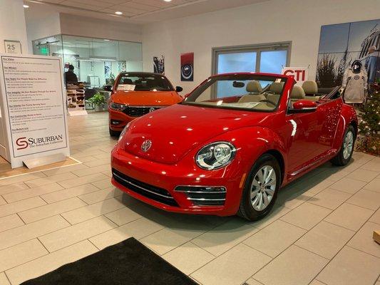 New Beetle Convertible